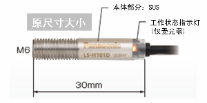 采用1点M6固定