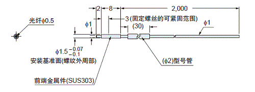 FT-S21